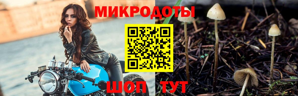 Геленджик  Галлюциногенные грибы Cubensis  цена наркотик  Вход с VPN 