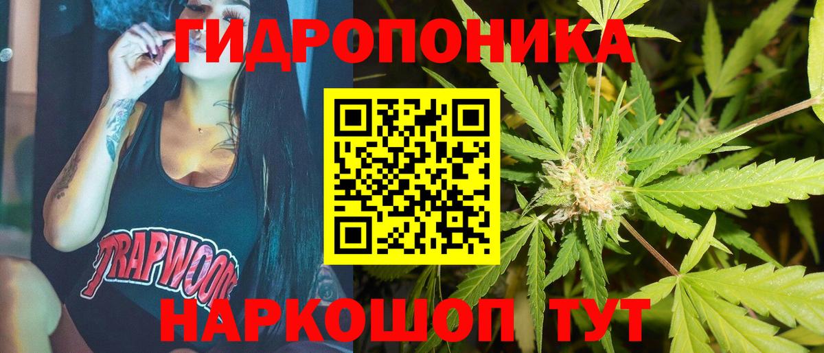 Бошки Шишки план Геленджик
